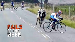 Best Fails of The Week #12 | Funniest Fails Compilation | Try Not To Laugh