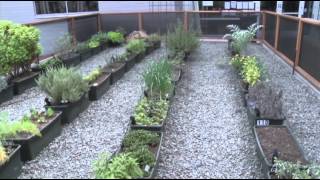 Tech Firms Offer Perks To Recruit, Retain Talent