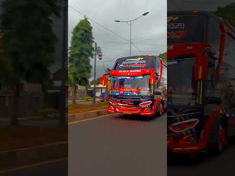 Mengenal Lebih Dekat Sang Raja Jalan Raya: Evolusi dan Deskripsi Bus Modern