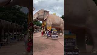 Big Buddha khaoyai pattaya bangkok ayutthaya travel tour transport service thailand trip