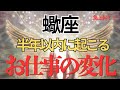 【蠍座】お仕事どうなる？具体的に視ました。転機🌟才能・魅力・チャンス🌈開運アドバイス🍀タロット占い🔮オラクルカードリーディング