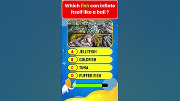 Are You Smarter Than 5th Grader ?💥🥱 | Fun General Knowledge Quiz 🤔 | #quiz #gk #shorts