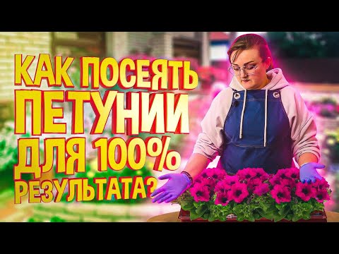 Бейне: Венераның тууы нені білдіреді?