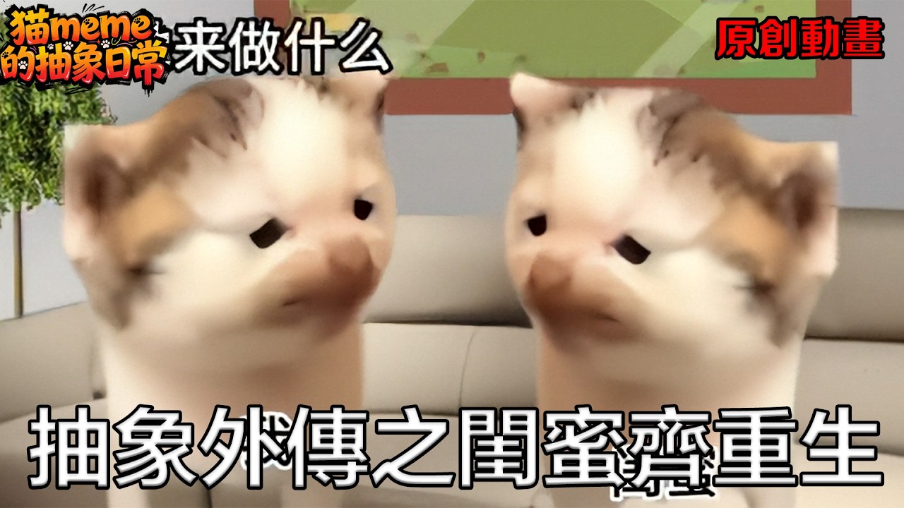 《洋柿子夫妇》完整版合集#猫meme #小说#猫 #猫meme的抽象日常