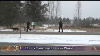 Suspect Still at Large in Staples Robbery - Lakeland News at Ten - January 26, 2012.m4v