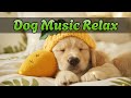 Музыка для собак 🎶 Расслабление и исцеление | Сон и покой счастливых питомцев 🐶