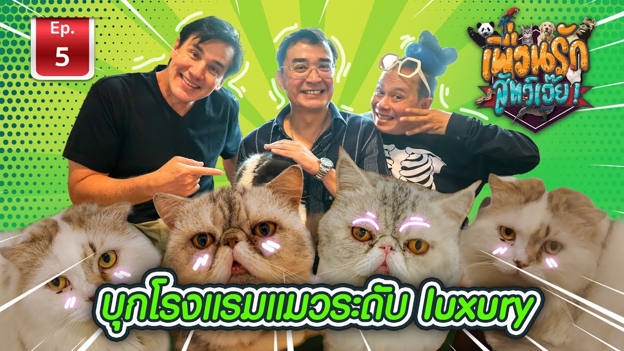 นีโน่เมทนี เปิดโรงแรมแมวสุดหรู I เพื่อนรักสัตว์เอ๊ย Ep.5 