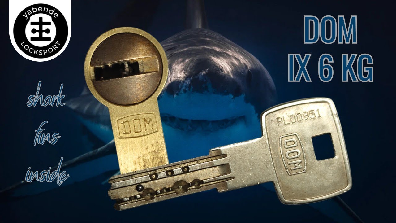 中古 DG WEIGHT LOCK X100TI 6-W 6本セット DOM IX 6KG picked and gutted - YouTube
