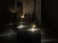 Enjoying a Breezy and Chilly Fall Night🍁Water Fountain Sound for Relaxation and Sleep🌺Enjoy❣️
