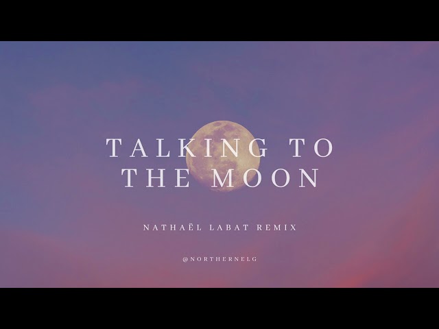 Talking To The Moon (@northernelg remix) class=