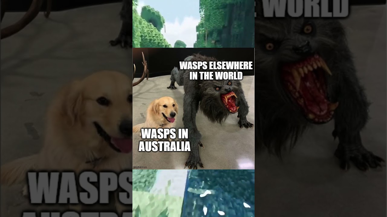 memes I found on discord 7 