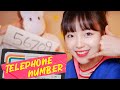 「☎️Telephone Number / Junko Ohashi」 │Cover by Darlim&Hamabal 💞 시티팝