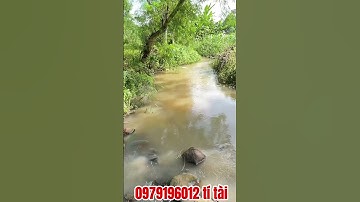 Bán đất vườn viêw suối nước quanh năm 3500m2 sẵn 300m2 thổ cư, vị trí ngay trung tâm. Giá cực rẽ.