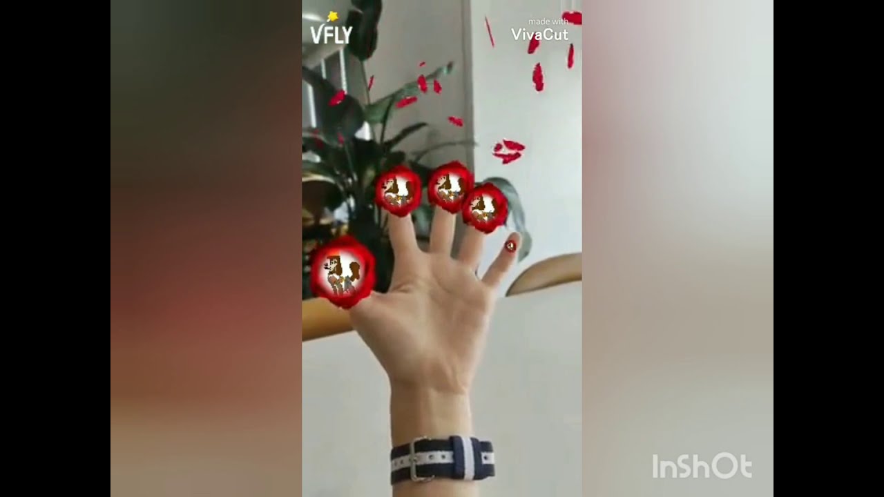 Моя любимая песня) YouTube