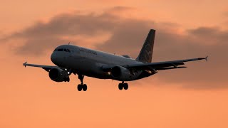 [4k] AMAZING Sunset Landings at Munich INTL | Different Lufthansa Models