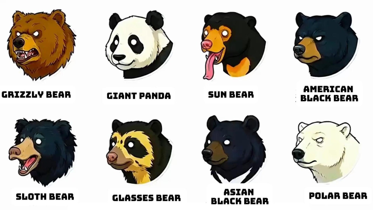 One video to help you understand 8 species of bears