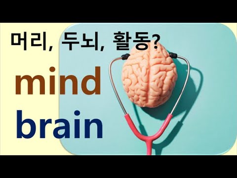 Q5 English 어휘 Lesson 1066 Brain Vs Mind 2 뇌를 빌리다 부상 머리 아파 