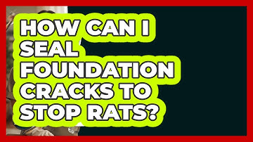 How Can I Seal Foundation Cracks To Stop Rats? - Insects and Invaders