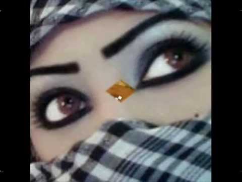 طارق الشيخ ماشي شمال