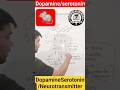 Dopamine Serotonine Neurotransmitter Nerves Cells Body Geniusacademy09 mp3