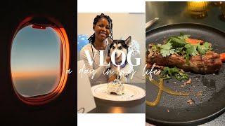 A day in my life with a Husky VLOG🐾