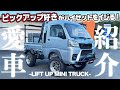 【軽トラ】ピックアップ好きがハイゼットをイジるとこうなります!【愛車紹介】