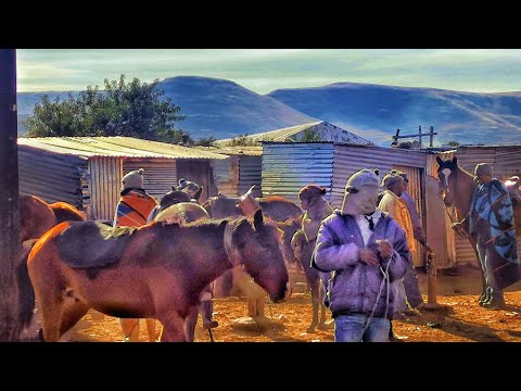 Wideo: Najlepsze rzeczy do zrobienia w Lesotho