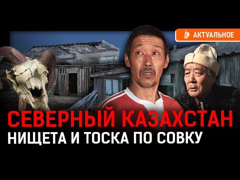 Почему казахские украинцы любят Путина? Голая граница с Россией.