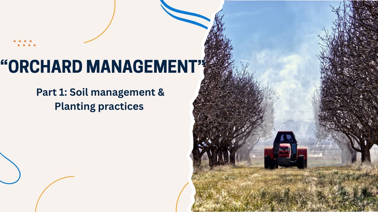 Orchard Management Part 1: Soil &  Planting Practices