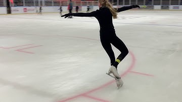 Learn to Skate USA: left back outside edge/right back inside edge on circle Basic 5