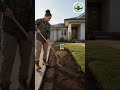 Make Your Lawn Tougher with RTF Tall Fescue