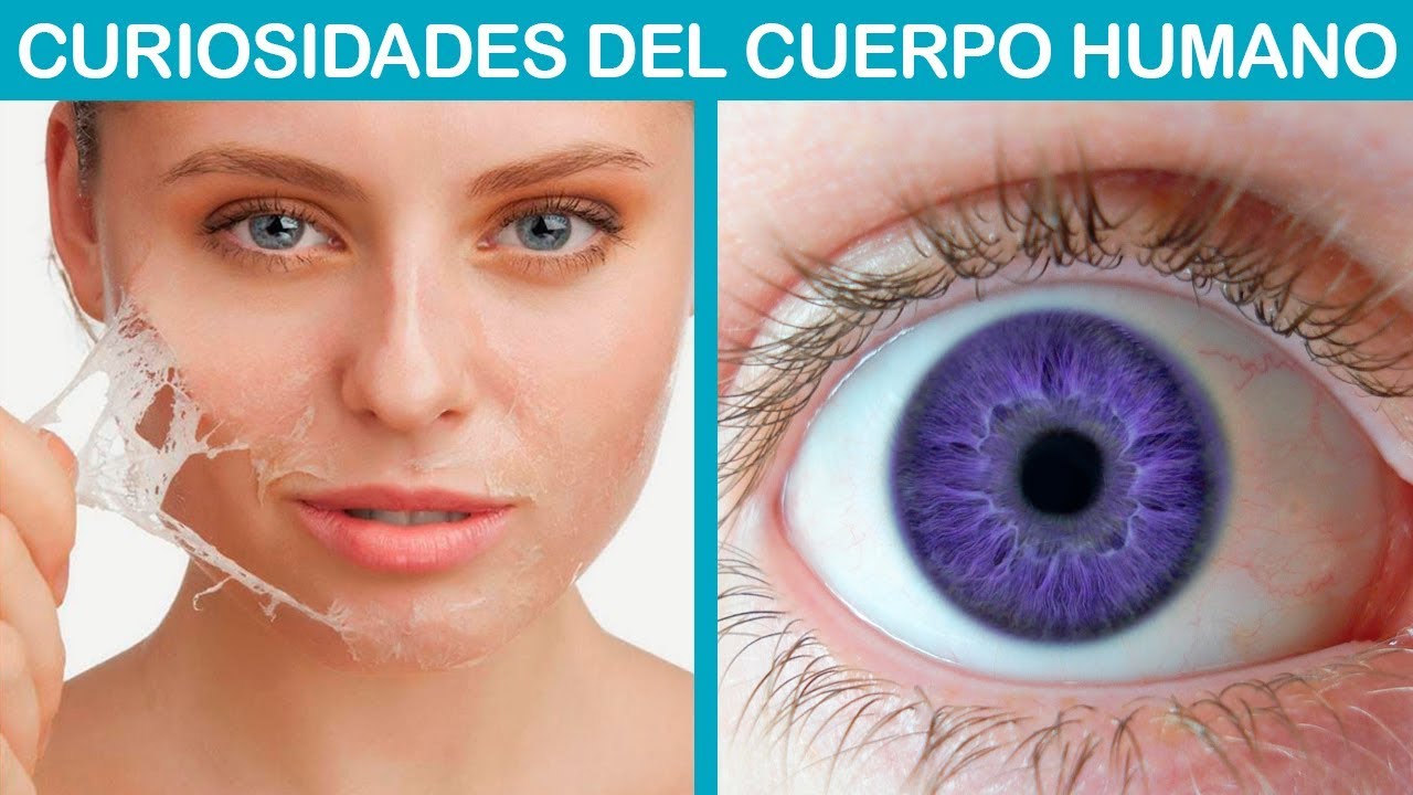 15-curiosidades-del-cuerpo-humano-youtube