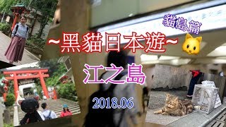 日本貓島: 江之島 | 最近東京的貓島 到底會遇到幾多貓貓呢? | 黑貓貓島遊 Vlog #1