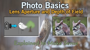 Photo Basics - Aperture and Depth of Field