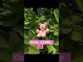 DIY clay teddy 🧸#diy #viral #craft #teddy #shorts #ytshorts @MyLifeWithCrafting