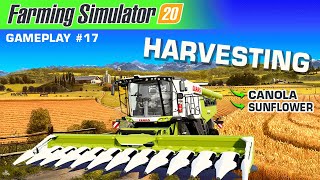 Farming Simulator 20 Gameplay - Harvesting Canola & Sunflower - How to play farming simulator  2021 screenshot 2