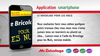 Appli brico pour les nuls - Mr Bricolage -VidnGo