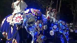 Großes Fest auf Sri Lanka zu Ehren des Zahns