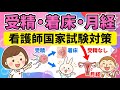【母性看護学④】受精、着床、月経