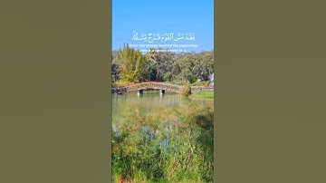 ياسر الدوسري - سورة آل عمران ١٣٩ - ١٤١ #ايات #قران_كريم_ارح_سمعك_وقلبك #القران_الكريم_راحه_نفسية😍🕋