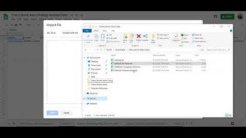 SEO Strategy Assistant - Import Screaming Frog Data