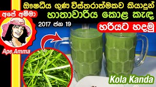 ✔ ඖෂධීය හාතවාරිය කොළ කැඳ එකක් හරියට හදමු (උදැසන ආහාරය) Hathawariya Kola kanda by Apé Amma screenshot 3