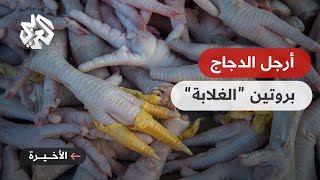 دعوات حكومية لتناول أرجل الدجاج تثير ضجة وتشعل موجة سخرية في مصر