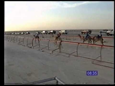 شديده ل سمو الشيخ فهد بن عبدالله بن خليفه آل ثاني السيف الذهبي حيل مفتوح سباق سمو الأمير 5 5 1994