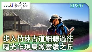 步入竹林古道細聽過往 曙光乍現鳥瞰雲嶺之丘｜雲林縣古坑鄉 麥覺明【@ctvmit897集】