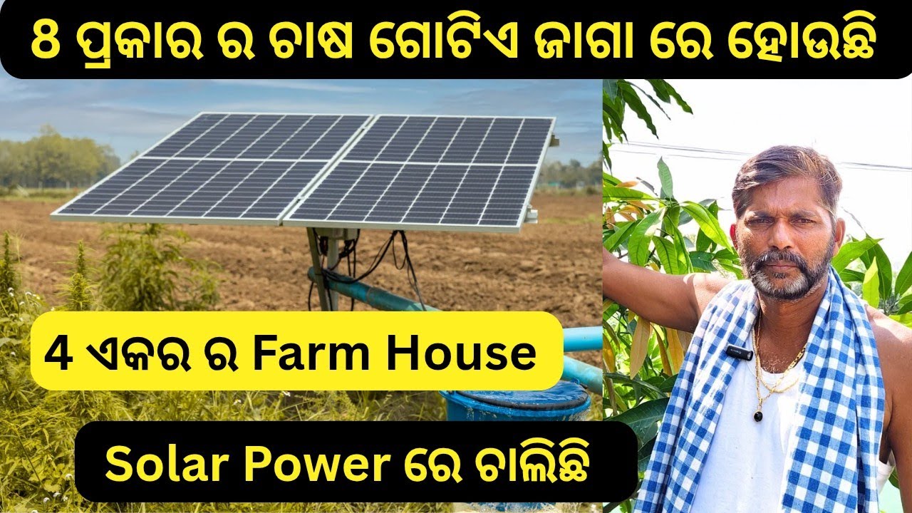 4 ଏକର Farm House ରେ 8 ପ୍ରକାର ଚାଷ| Integrated Farming Unique Farming business idea in Farmhouse.
