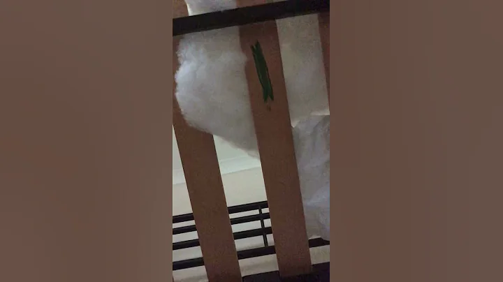 Face reveal maybe.