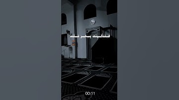 🌿 سورة طه 🌿