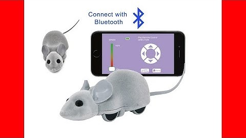 The Mouse Hunt Cat Toy - JALAL STORE