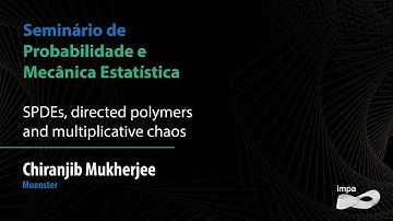 SPMES: SPDEs, directed polymers and multiplicative chaos - Chiranjib Mukherjee
